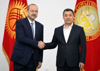Президент Кыргызстана встретился с премьер-министром Узбекистана — о чем говорили стороны?