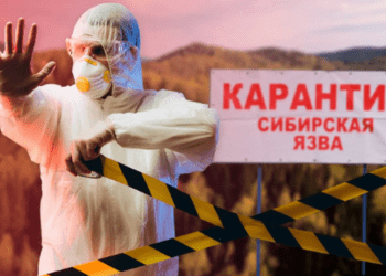 В Казахстане вспышка сибирской язвы — в больнице 12 человек