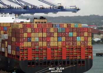 Россия вместе с ОАЭ запустит регулярные контейнерные перевозки по СМП