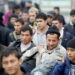 В России мигрантам могут запретить работать в ряде профессий — каких именно?