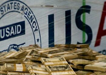 Карманные СМИ: USAID выделит $8 млн на «развитие» расследовательской журналистики в Южной Африке