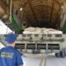 Кыргызстан направит 5 тонн гумпомощи в Палестину. Что с другими странами ЦА?