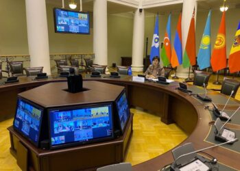 На Межправительственном совете стран СНГ эксперты обсудили потенциал государств в агропромышленном комплексе