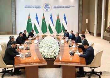 Туркменистан готов увеличить поставки газа и электричества