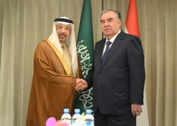 Что обсудили глава Таджикистана и министр инвестиций Саудовской Аравии: подробности