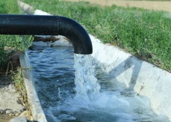 Водосбережение: в Узбекистане с 2025 года фермеры смогут платить пониженный налог на воду — условия