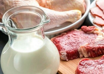 Россия сняла запрет на поставки мяса и молока из Казахстана — он действовал 2 года