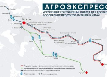 Таджикистан готов присоединится к российскому проекту «Агроэкспресс»