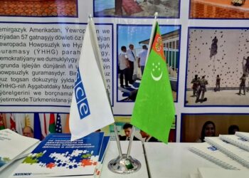 Туркменистан и ОБСЕ реализуют в 2024 году 37 проектов в различных сферах деятельности