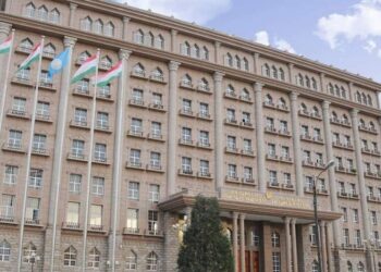 Душанбе отверг заявление секретаря Совбеза России о вербовке наемников