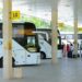 В Узбекистане запустят 10 новых автобусных маршрутов — подробности