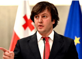 Премьер-министр Грузии: протесты в стране поддерживались НПО, финансируемыми из США