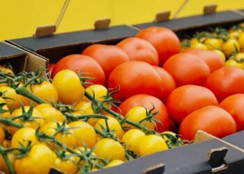Казахстан нарастит поставки сельхозпродукции в Китай до полумиллиона тонн