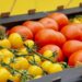 Казахстан нарастит поставки сельхозпродукции в Китай до полумиллиона тонн