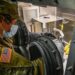 «Программа снижения биологической угрозы» США 2025: краткий обзор