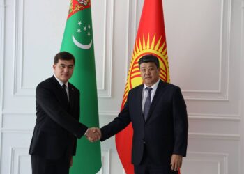 Электроэнергия и бизнес: важные договоренности Кыргызстана и Туркменистана
