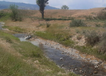 Кыргызстан теряет воду до начала посевных кампаний
