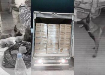 На границе Казахстана спецслужбы изъяли у контрабандистов около тонны героина