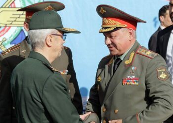 Шойгу прибыл в Иран: Москва и Тегеран за глобальную и региональную безопасность