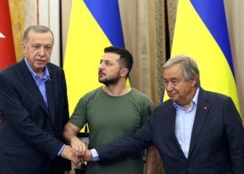 Эрдоган: Анкара готова взять на себя роль миротворца в украинском конфликте