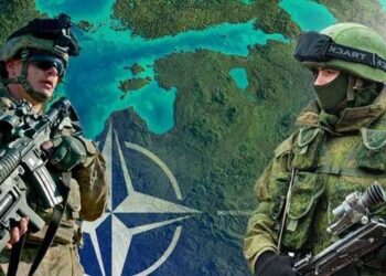 Сенатор РФ: Зеленский пытается втянуть НАТО в войну с Россией