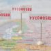 Россия ужесточает меры: иностранцам грозит наказание за русофобию