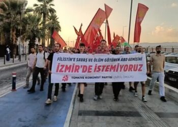 В Турции протестуют против присутствия корабля США в порту Измира (видео)