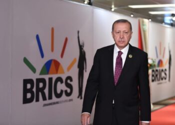 Турция в БРИКС: плюсы, минусы и как это повлияет на расстановку сил в мире