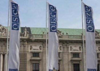 МИД РФ: ОБСЕ находится в кризисе, так как отошла от основных задач