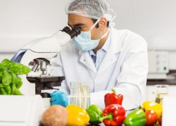 В Кыргызстане создали Научно-исследовательский институт продовольственной безопасности и питания