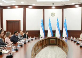 Узбекистан провел переговоры с Францией по Афганистану