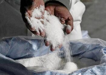 Сладкое золото Кыргызстана: репортаж с сахарного завода «Каинды-Кант»