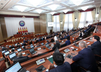 В парламенте Кыргызстана формируется антистраховочное лобби?