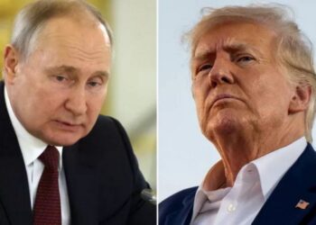 Трамп пообещал остановить войну между РФ и Украиной за 24 часа — какова реакция Кремля?