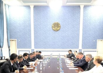 Таджикистан и Узбекистан обсудили демаркацию границы