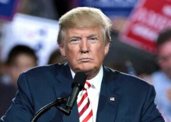 Трамп предложил ввести войска ЕС на Украину для контроля перемирия