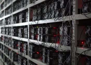 В Узбекистане начнут конфисковывать криптоактивы, выявленные в ходе следствия