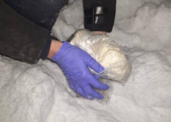 В Казахстане ликвидирован один из крупнейших в 2024 году каналов поставки наркотиков