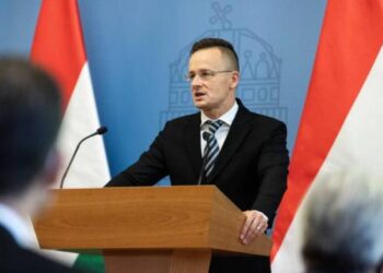 В Будапеште назвали главу МИД Польши провоенным агентом Сороса