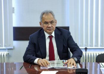 Шойгу: Запад готовится дестабилизировать Союзное государство России