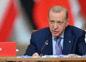 Эрдоган допустил возможность выдвижения на третий срок