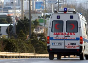 В Стамбуле задержали двоих граждан Туркменистана по делу о массовом отравлении