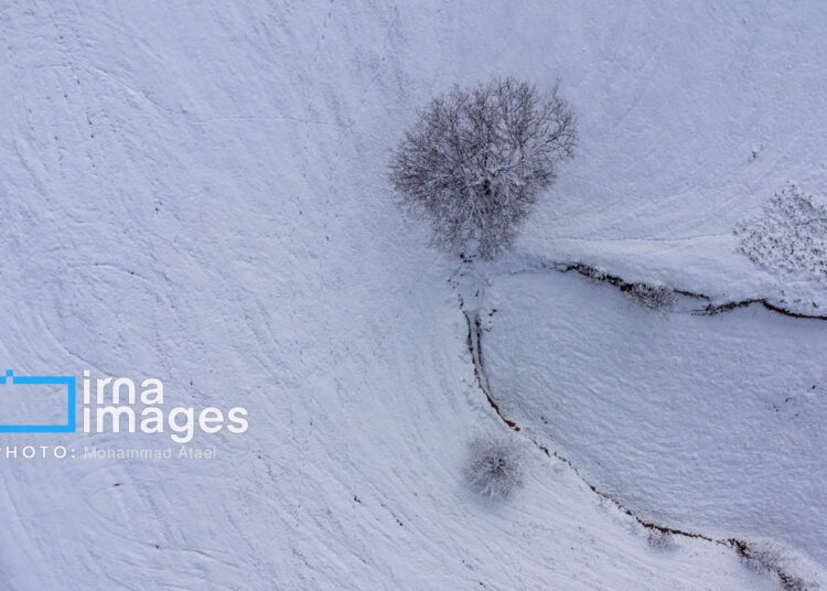 Снежные чудеса Ирана: Национальный парк Голестан в белом убранстве — ФОТО