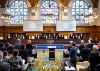 Минюст Намибии: создана Гаагская группа для поддержки Палестины