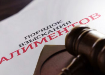 В Кыргызстане хотят обязать родственников экс-супругов платить алименты (видео)