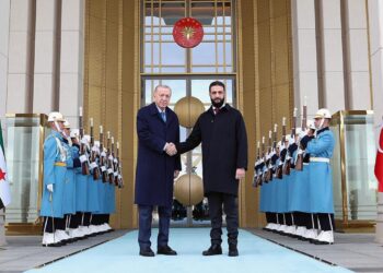 Самопровозглашенный «президент» Сирии предложил Эрдогану разместить в стране турецкие военные базы?