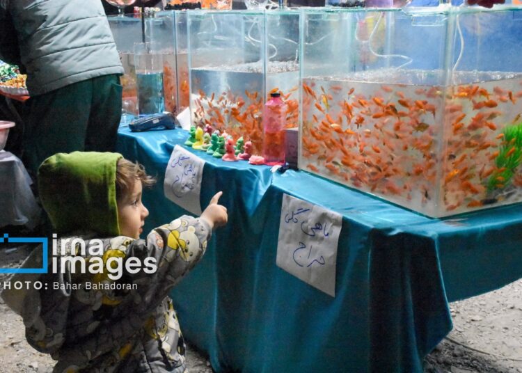 Жители иранского Ясуджа готовятся к праздникам: оживление на рынках (ФОТО)