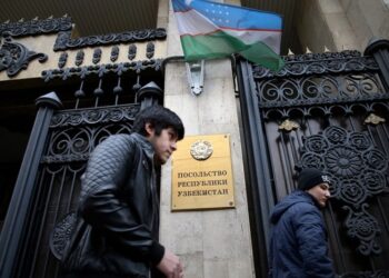 Посольства Узбекистана в России и Турции призвали своих трудовых мигрантов зарабатывать на Родине