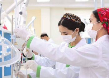 Туркменские ученые разработали инновационную систему полива для сельского хозяйства