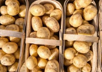 Установлены квоты на беспошлинный ввоз в страны ЕАЭС сельхозпродукции из Ирана — размер квот